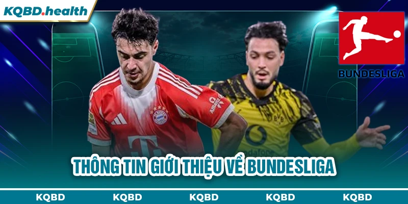 Bundesliga 22 Thông tin giới thiệu về Bundesliga